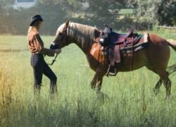 Untitled design - 2024-08-08T190745.610