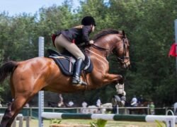 Untitled design - 2024-08-08T190809.514