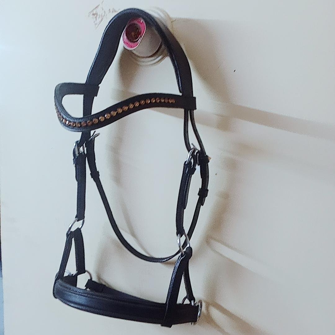 thumbnail - 2022-10-24T083805.068